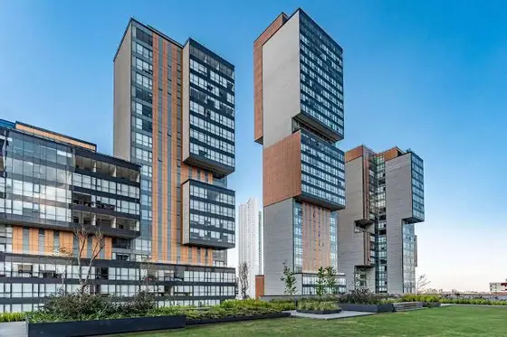 Central Park, Bosque Real